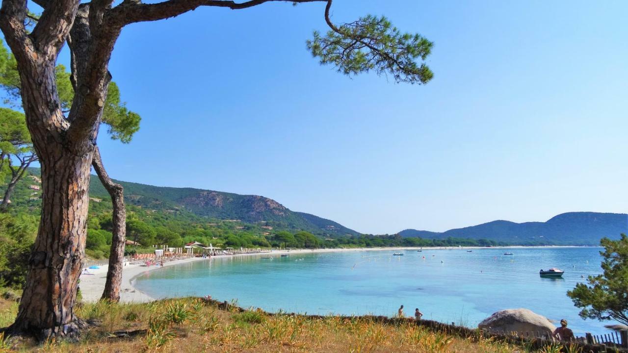 Holiday home A Altezza Palombaggia