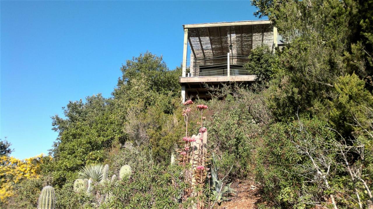 Holiday home A Altezza Palombaggia